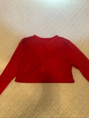 Red Mesh Flame Long Sleeve Cropped Top